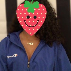Champion Windbreaker Hoodie